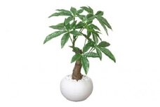 光の楽園　パキラポット【配送不可：北海道・沖縄・離島】 植物 造花 [№5786-1222]
