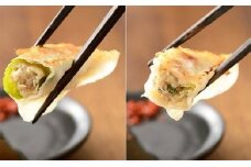 浜松発！いえやす自慢の浜松餃子　4種を楽しむバラエティーセット [№5786-1266]