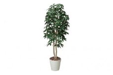 光の楽園　パキラツリー1.6【配送不可：北海道・沖縄・離島】 植物 造花 [№5786-1251]