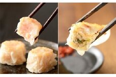 浜松発！いえやす自慢の浜松餃子・しゅうまい食べ比べ7種セット [№5786-1265]