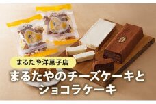 チーズケーキ ショコラケーキ あげ潮 セット まるたや洋菓子店 まるたや チーズボックス チョコケーキ ケーキ スイーツ デザート 菓子 洋菓子 ギフト 手土産 静岡県 浜松市 [№5786-1314]