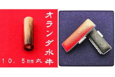 オランダ水牛10.5mm(5書体)牛革ケース(黒)篆書体(てんしょたい) [№5786-7823]1850