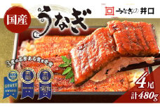 ITI優秀味覚賞受賞 国産うなぎ 長蒲焼き 4尾 (120g×4尾) 山椒 たれ セット 詰め合わせ うなぎの井口 国産 うなぎ 鰻 蒲焼き うなぎの蒲焼 鰻の蒲焼き 小分け おすすめ ギフト 冷蔵 静岡 静岡県 浜松市 【配送不可：離島】 [№5786-1887]