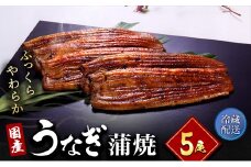 うなぎ 国産 長蒲焼 5尾 小分け 詰め合わせ 国産 うなぎ蒲焼 国産うなぎ 惣菜 おかず ギフト 贈答 贈答用 贈答品 土用の丑の日 丑の日 レンジ調理 レンチン 蒲焼き うな重 鰻 真空パック 冷蔵 冷蔵配送 静岡 静岡県 浜松市 [№5786-1967]