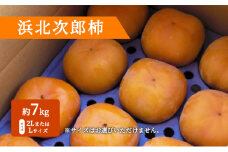 浜北次郎柿 秀品 約7kg サイズ 2LまたはL 目安 24～28玉【2023年11月中旬より順次発送】 [№5786-1979]