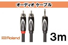 【Roland純正】オーディオケーブル 3m/RCC-10-352RV2 [№5786-2016]