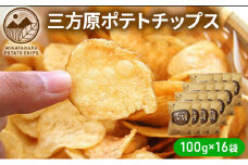 【2025年6月中旬以降順次発送】三方原ポテトチップス 100g×16袋 スイーツ お菓子 スナック 駄菓子 [№5786-2331]