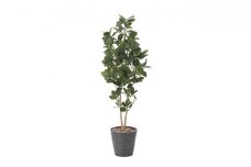 光の楽園　パンの木1.6【配送不可：北海道・沖縄・離島】 雑貨 日用品 植物 造花 [№5786-2566]