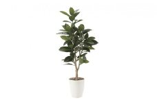 光の楽園　ゴムの木1.25【配送不可：北海道・沖縄・離島】 雑貨 日用品 植物 造花 [№5786-2583]