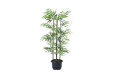光の楽園　黒竹1.0【配送不可：北海道・沖縄・離島】 雑貨 日用品 植物 造花 [№5786-2593]