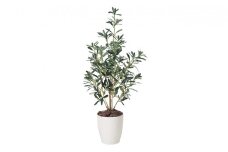 光の楽園　オリーブ90【配送不可：北海道・沖縄・離島】 雑貨 日用品 植物 造花 [№5786-2598]