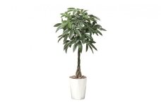 光の楽園　パキラ1.25【配送不可：北海道・沖縄・離島】 雑貨 日用品 植物 造花 [№5786-2599]