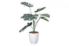 光の楽園　モンステラ90【配送不可：北海道・沖縄・離島】 雑貨 日用品 植物 造花 [№5786-2603]