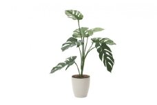 光の楽園　モンステラ75【配送不可：北海道・沖縄・離島】 雑貨 日用品 植物 造花 [№5786-2605]