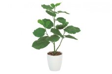 光の楽園　ウンベラータ80【配送不可：北海道・沖縄・離島】 雑貨 日用品 植物 造花 [№5786-2608]