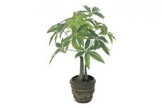 光の楽園　パキラポットM【配送不可：北海道・沖縄・離島】 雑貨 日用品 植物 造花 [№5786-2623]