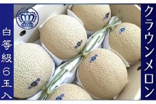 クラウンメロン　白クラス　６玉入　出荷箱【配送不可：離島】 [№5786-2741]