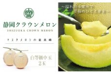 クラウンメロン 白中玉 2玉入　【配送不可：離島】 [№5786-2749]