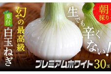 浜松篠原産【葉付新白玉ねぎ】プレミアムホワイト30玉【A級品L玉】 [№5786-2835]