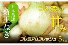 浜松篠原産新玉ねぎプレミアムフレッシュ5キロ【無選別品】 [№5786-2838]