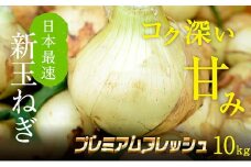 浜松篠原産新玉ねぎプレミアムフレッシュ10キロ【無選別品】 [№5786-2839]