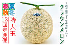 クラウンメロン　特大玉　1玉　12ヵ月連続お届け【配送不可：離島】 [№5786-2960]