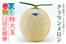 クラウンメロン　特大玉　1玉　12ヵ月連続お届け【配送不可：離島】 [№5786-2960]