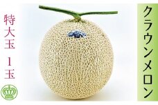 クラウンメロン　特大玉　1玉【配送不可：離島】 [№5786-2962]