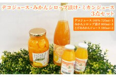 デコジュース・みかんシロップ漬け・ミカンジュース3点セット【配送不可：離島】 [№5786-2990]