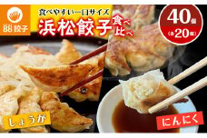 浜松餃子の88ぱちぱち餃子　40個おためしセット【配送不可：離島】 [№5786-3101]