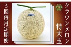 クラウンメロン特大玉　1玉【3ヶ月定期便】【配送不可：離島】 [№5786-3405]