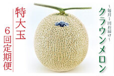 クラウンメロン特大玉　1玉　【6ヶ月定期便】【配送不可：離島】 [№5786-3419]