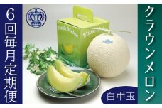 クラウンメロン白等級中玉　1玉【6ヶ月定期便】【配送不可：離島】 [№5786-3420]
