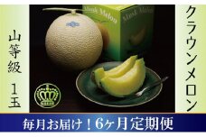 メロン 定期便 6ヶ月 クラウンメロン 山等級 1玉 フルーツ 果物 高級フルーツ 高級果物 フルーツ定期便 くだもの定期便 マスクメロン 青肉 静岡メロン 静岡県 浜松市 6回 半年 定期 [№5786-3428]