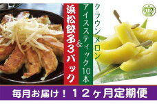 【12ヶ月定期便】クラウンメロンスティック10本と浜松ぎょうざ3パック【配送不可：離島】 [№5786-3432]