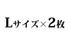 遠州織物ジャカード織　柿渋染めお洒落マスク 2枚セット（L×2） [№5786-8490]3554
