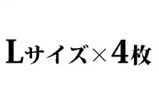 遠州織物ジャカード織　柿渋染めお洒落マスク 4枚セット（L×4） [№5786-8493]3555