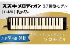 アーティストにも愛されるプロメロディオン PRO-37v3 [№5786-3578]