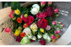 薔薇の色どりパック　20本 [№5786-3618]