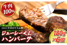 ジューシーくんハンバーグ 180g×6個 [№5786-3785]