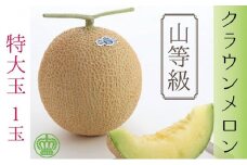 メロン クラウンメロン 山等級 特大玉 1玉 フルーツ 果物 くだもの 高級フルーツ 高級果物 季節のフルーツ 季節の果物 旬のフルーツ 旬の果物 マスクメロン 青肉 めろん 静岡メロン 静岡 静岡県 浜松市 【配送不可：離島】 [№5786-3828]
