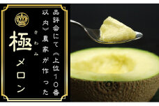 クラウンメロン　極み×1玉【配送不可：離島】 [№5786-3830]