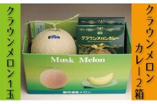 クラウンメロン（白)×1玉＆メロンカレー（170g）×2箱入【ギフト箱入】【配送不可：離島】 [№5786-3832]