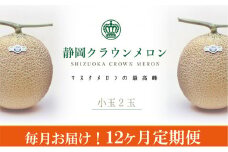クラウンメロン（白）小玉×2玉【12ヶ月定期便】【配送不可：離島】 [№5786-3834]