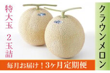 クラウンメロン　特大玉×2玉【3ヶ月定期便】【配送不可：離島】 [№5786-3838]