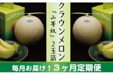 クラウンメロン　山×2玉【3ヶ月定期便】【配送不可：離島】 [№5786-3840]