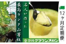 メロン 定期便 12ヶ月 クラウンメロン 山等級 名人 1玉 フルーツ 果物 高級フルーツ フルーツ定期便 マスクメロン 青肉 静岡メロン 静岡県 浜松市 12回 定期 [№5786-3843]