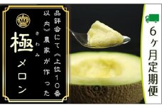 クラウンメロン 定期便 6ヶ月 極み メロン 1玉 マスクメロン めろん 果物 フルーツ 旬の果物 高級フルーツ 6回 静岡 静岡県 浜松市 【配送不可：離島】 [№5786-3848]