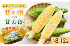 とうもろこし 先行予約 甘々娘 または 甘太郎 約8～12本 春のテルもろこし 個包装 レンジ調理 レンチン 野菜 夏 旬 冷蔵 冷蔵配送 静岡 静岡県 浜松市 6月下旬頃より順次発送 配送不可：離島 [№5786-3795]