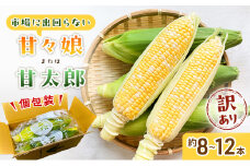 訳あり とうもろこし 先行予約 甘々娘 または 甘太郎 約8本～12本 家庭用 テルもろこし 先端カット済 個包装 レンジ調理 レンチン 旬 冷蔵配送 静岡 浜松市 6月下旬頃より順次発送 配送不可：離島 [№5786-3796]